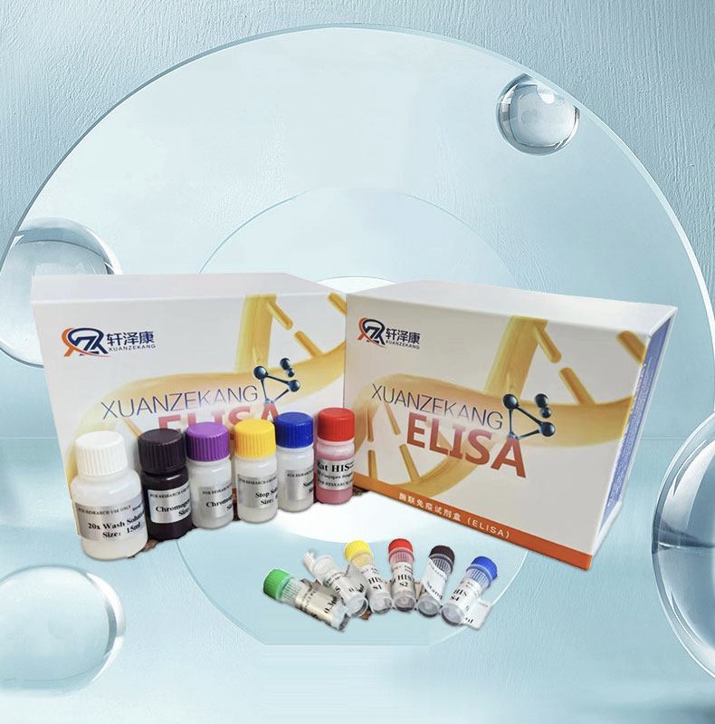 人半胱氨酸蛋白酶1（Casp-1）ELISA检测试剂盒