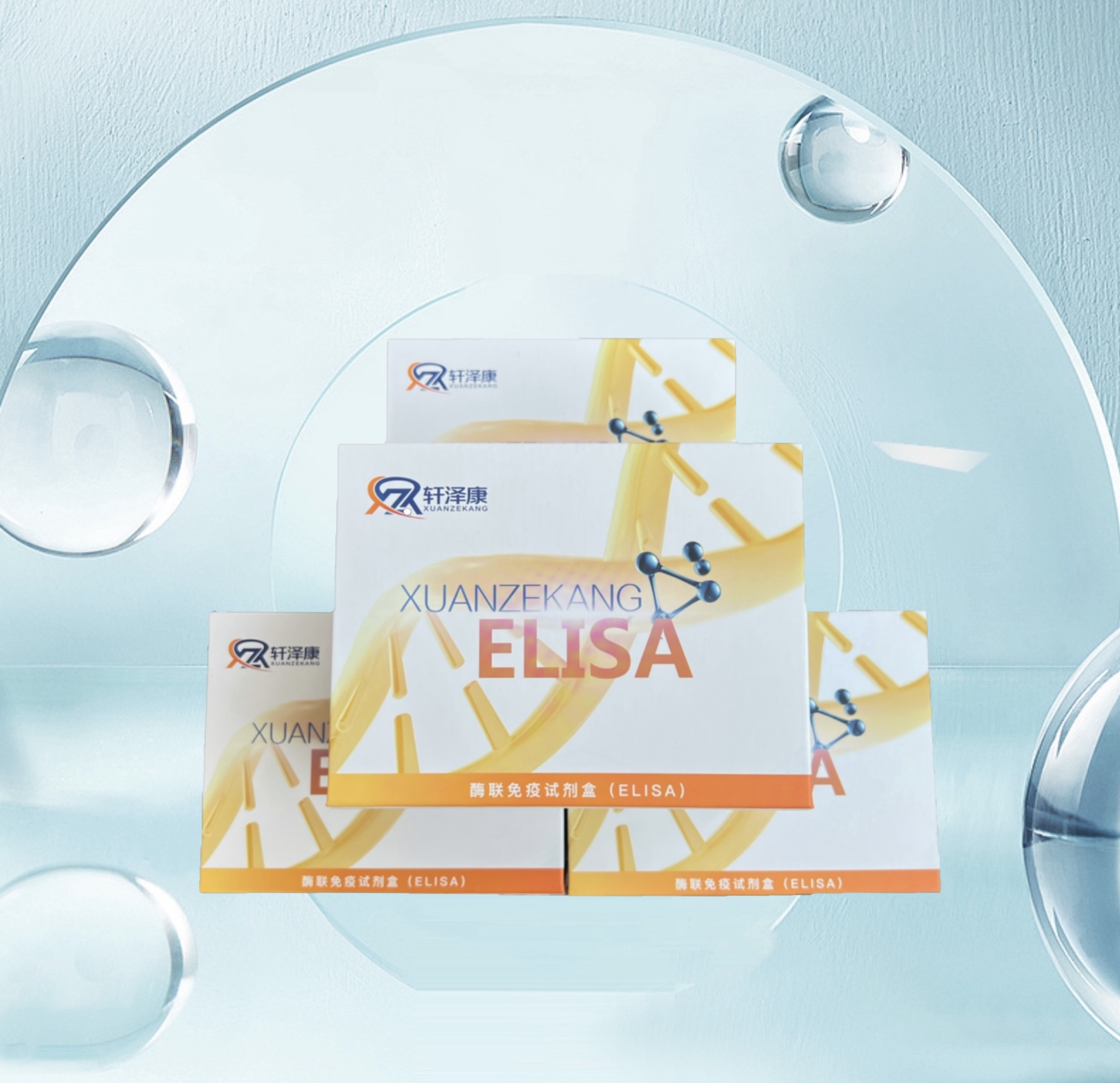 小鼠丙型肝炎病毒核心蛋白结合蛋白6（HCBP6）ELISA检测试剂盒