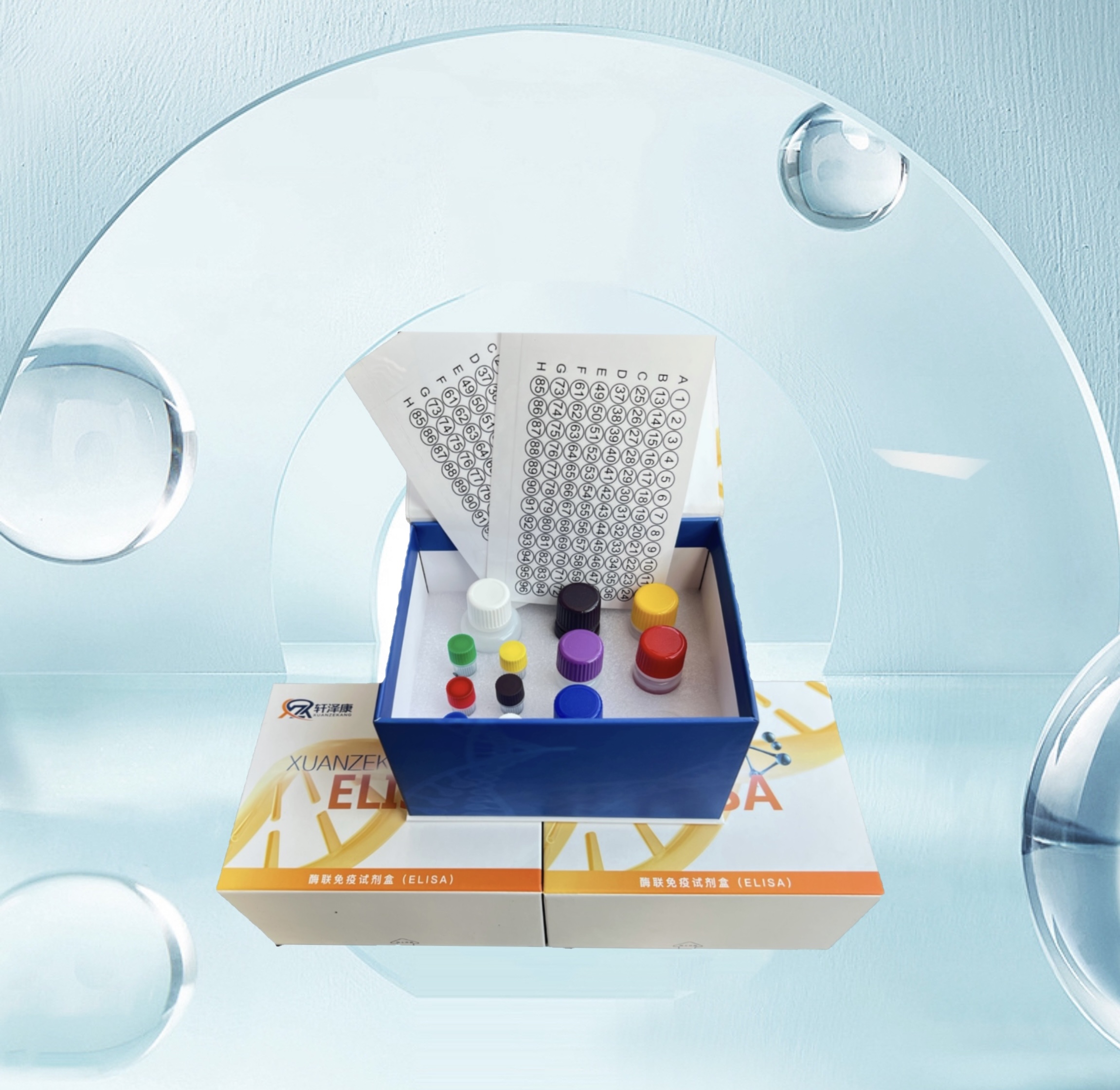 大鼠磷酯酶Cγ1（PLCγ1）ELISA检测试剂盒