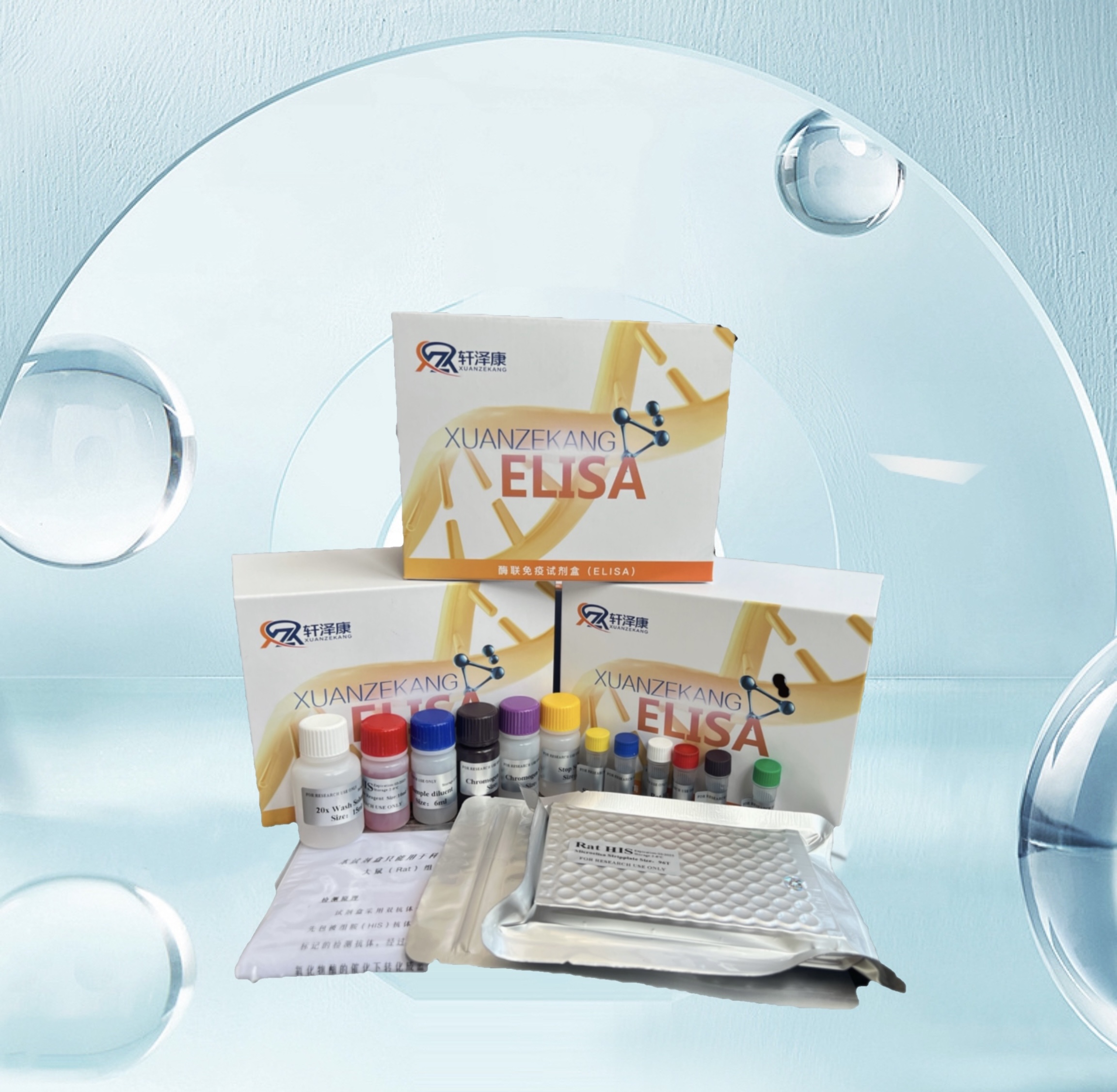 兔γ干扰素（IFN-γ）ELISA检测试剂盒